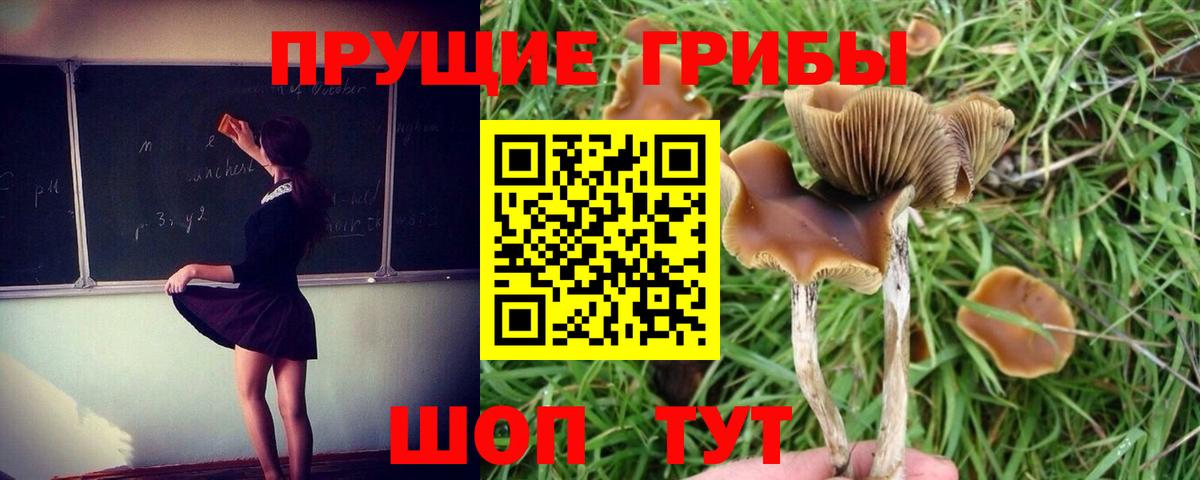 Магнитогорск  Псилоцибиновые грибы ЛСД  наркота  Вход с VPN  Галлюциногенные грибы Psilocybine cubensis 